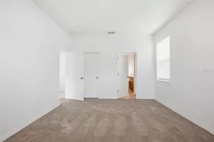20506 Carolina Cherry Ct, Tampa, FL 33647 - Photo 23