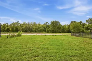 20506 Carolina Cherry Ct, Tampa, FL 33647 - Photo 45