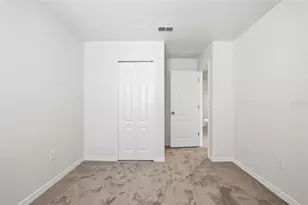 20506 Carolina Cherry Ct, Tampa, FL 33647 - Photo 27
