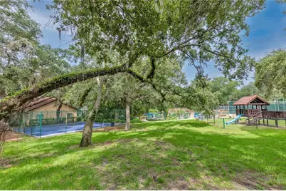 2612 2nd Court, Palm Harbor, FL 34684 - Photo 29