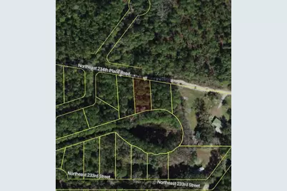 Ne 234th Place Road, Fort Mc Coy, FL 32134 - Photo 3