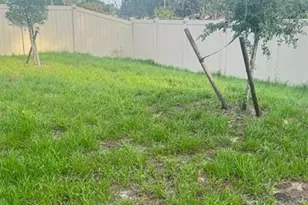 2175 Doe Run Dr, Davenport, FL 33837 - Photo 17
