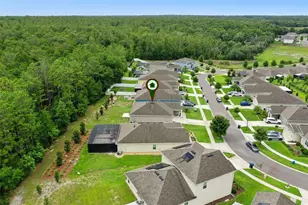 4810 Magnetite Loop, Mount Dora, FL 32757 - Photo 61