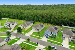 4810 Magnetite Loop, Mount Dora, FL 32757 - Photo 57