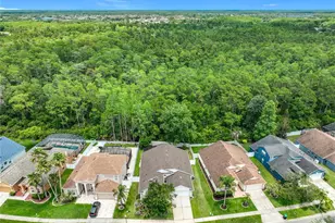 527 Canary Island Ct, Orlando, FL 32828 - Photo 33