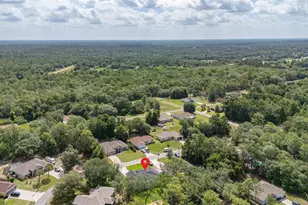 8100 N Hillview Cir, Dunnellon, FL 34434 - Photo 49