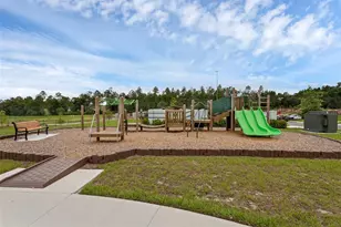 3239 Gardenia Reserve St, Apopka, FL 32712 - Photo 29