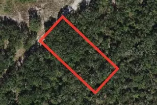 [Address not provided], Fort Meade, FL 33841 - Photo 1