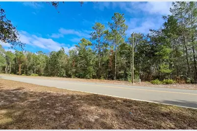 Tbd Tbd, Interlachen, FL 32148 - Photo 3