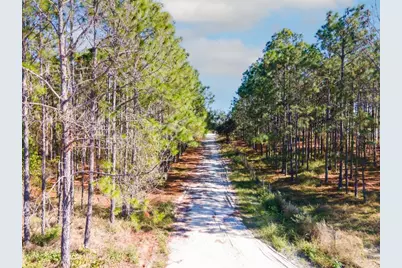Lost Lake Road, Clermont, FL 34711 - Photo 9