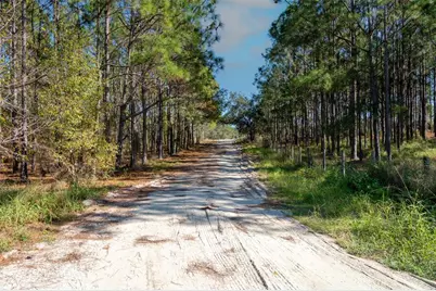 Lost Lake Road, Clermont, FL 34711 - Photo 7