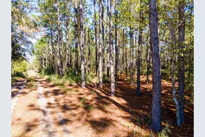 Lost Lake Road, Clermont, FL 34711 - Photo 11