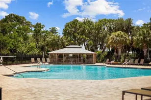 8394 Lookout Pointe Dr, Windermere, FL 34786 - Photo 53