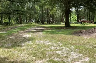 E Pine Ave, Mount Dora, FL 32757 - Photo 1