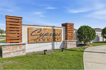 5179 Royal Point Avenue, Kissimmee, FL 34746 - Photo 25