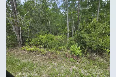 1135 Omega Ranch Road #4&5, New Smyrna Beach, FL 32168 - Photo 7