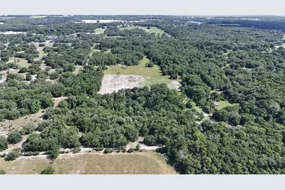 5501 Cemetery Road, Mount Dora, FL 32757 - Photo 3