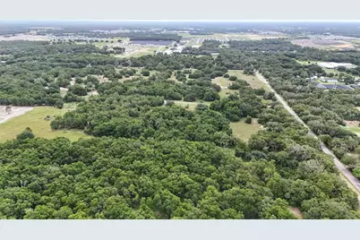 5501 Cemetery Road, Mount Dora, FL 32757 - Photo 9