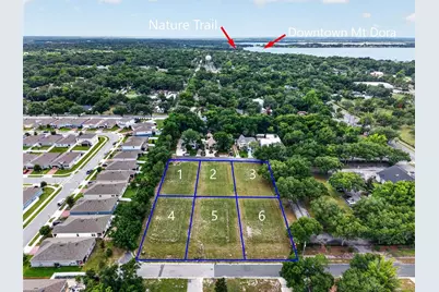 Fearon Ave & E 19th Ave Avenue #1-6, Mount Dora, FL 32757 - Photo 3