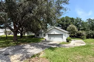 10258 Joanies Run, Leesburg, FL 34788 - Photo 3