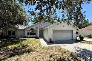 10258 Joanies Run, Leesburg, FL 34788 - Photo 1