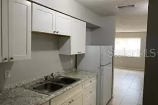 3873 Janeen Cir, Mulberry, FL 33860 - Photo 3