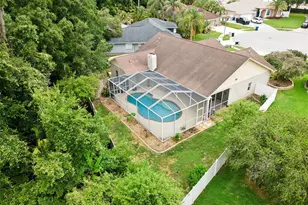 26203 Corkwood Ct, Land O Lakes, FL 34639 - Photo 35