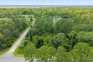 Royal Trails Rd, Eustis, FL 32726 - Photo 1