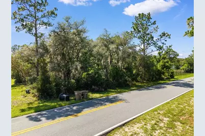 Royal Trails Road, Eustis, FL 32726 - Photo 11