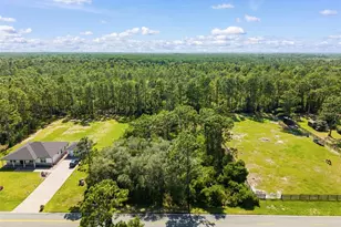 Royal Trails Rd, Eustis, FL 32726 - Photo 1