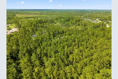 Apricot Avenue, Eustis, FL 32736 - Photo 5