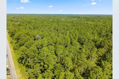 Apricot Avenue, Eustis, FL 32736 - Photo 3