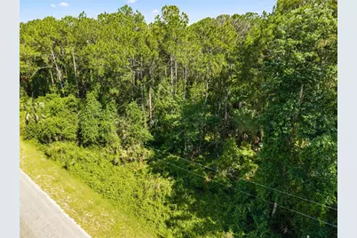 Apricot Avenue, Eustis, FL 32736 - Photo 11