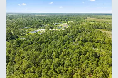 Apricot Avenue, Eustis, FL 32736 - Photo 7