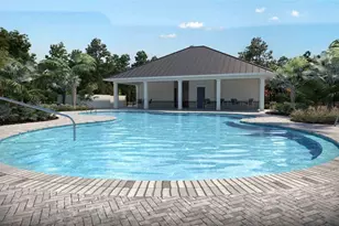 10040 Blackstone Creek Ct, Riverview, FL 33578 - Photo 11