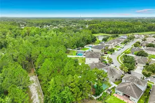 10672 Cabbage Tree Loop, Orlando, FL 32825 - Photo 83