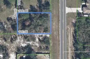 10657 S Orange Blossom Blvd, Sebring, FL 33875 - Photo 1