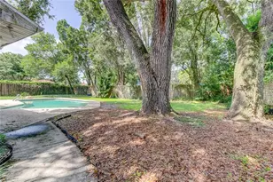 10406 Reclinata Ln, Tampa, FL 33618 - Photo 51
