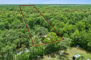 16250 Hamilton Dr, Orlando, FL 32833 - Photo 3