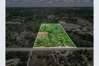 125 Polk Street, Lake Placid, FL 33852 - Photo 3