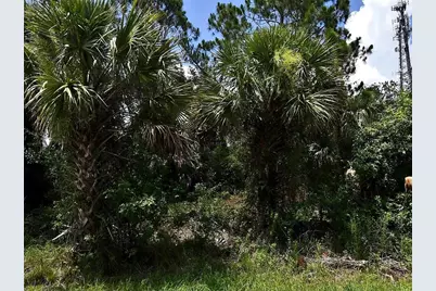 Sago Palm Road, North Port, FL 34291 - Photo 1