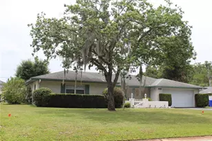 2324 Haley Ct, Kissimmee, FL 34741 - Photo 3