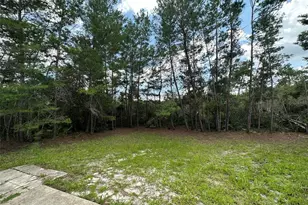 1230 Silverdale St, Deltona, FL 32725 - Photo 17
