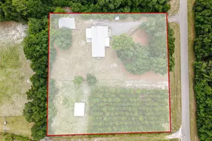 7251 NW 40th St, Chiefland, FL 32626 - Photo 39