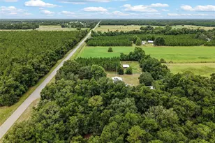 7251 NW 40th St, Chiefland, FL 32626 - Photo 49