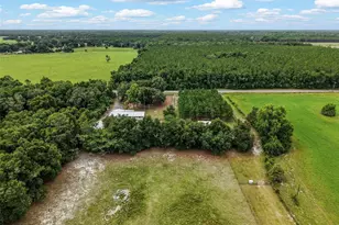 7251 NW 40th St, Chiefland, FL 32626 - Photo 47