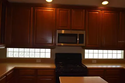 2415 Sabastian Street, Mount Dora, FL 32757 - Photo 3