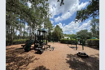 6873 Northwich Drive, Windermere, FL 34786 - Photo 43