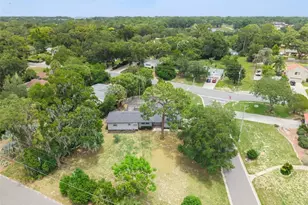 1510 Overlook Dr, Mount Dora, FL 32757 - Photo 29