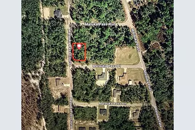 Malauka Pass Crse, Ocklawaha, FL 32179 - Photo 1